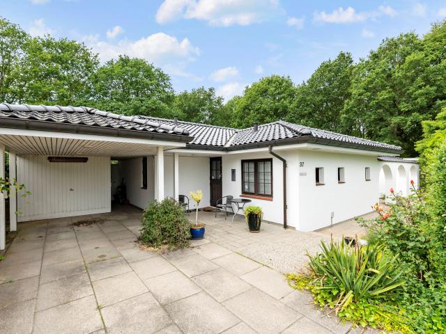 Mikkels Mose 37, Sanderum