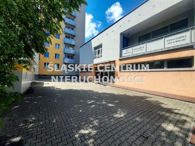 Mikołowska 163,93 m², Katowice