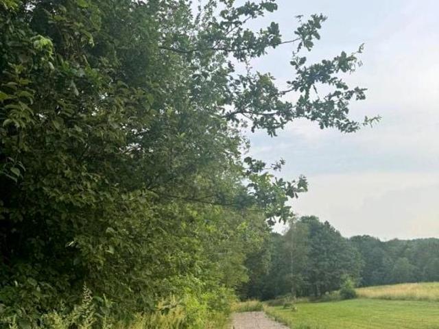 Mikołaja Kopernika 5 000 m², Skawina