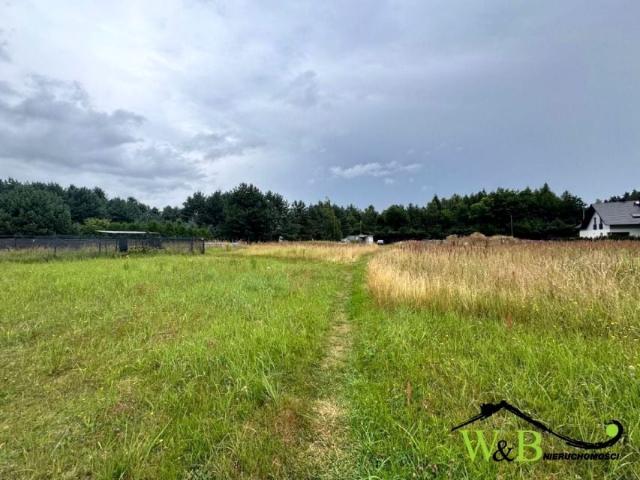 Mikołeska 2 500 m², Mikołeska