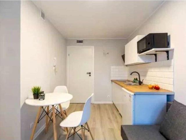 Mikrokawalerka kawalerka z aneksem kuchennym 15 m² na wynajem ul. Toruńska, Poznań, Nowe Miasto