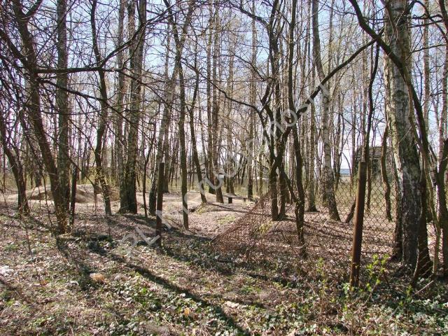 Działka budowlana 1953 m2 w Milanówku, las, media