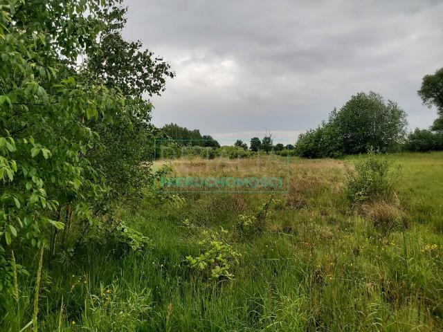 Działka budowlana 5192 m² w Milanówku z mediami