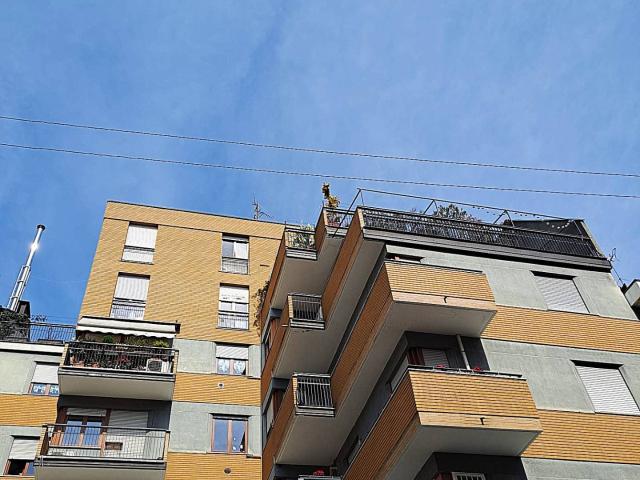 2 stanze in affitto