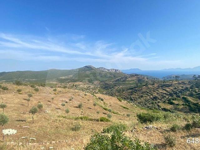 Milas Akçakaya Mahallesinde Deniz Manzaralı Satılık Tarla