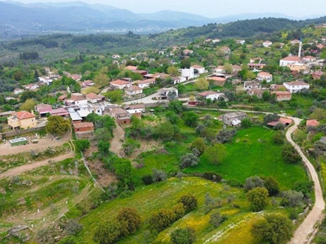 Milas Alaçam Mahallesinde 505 M Konut İmarlı Satılık Arsa