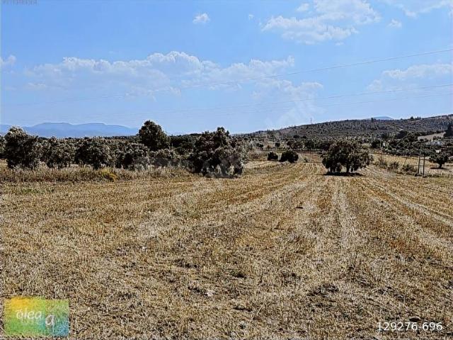 Milas Çam köy'de Ören yolu üzeri kat karşılığı arsa!