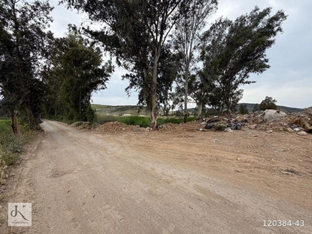 Milas Bodrum yol üzeri Rüyapark avm projesi arkası satılık tarla