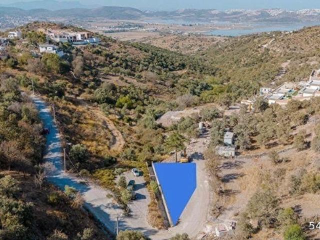 Milas Dörttepe Sığırtmaç Mevkii 288 m2 Arsa
