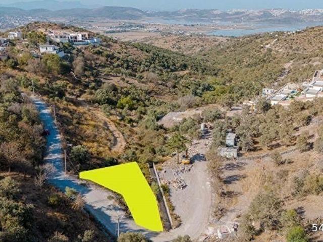 Milas Dörttepe Sığırtmaç Mevkii 505m2 Arsa