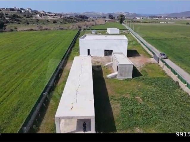 Milas Dörttepe'de çiftlik ve yaşam alanı