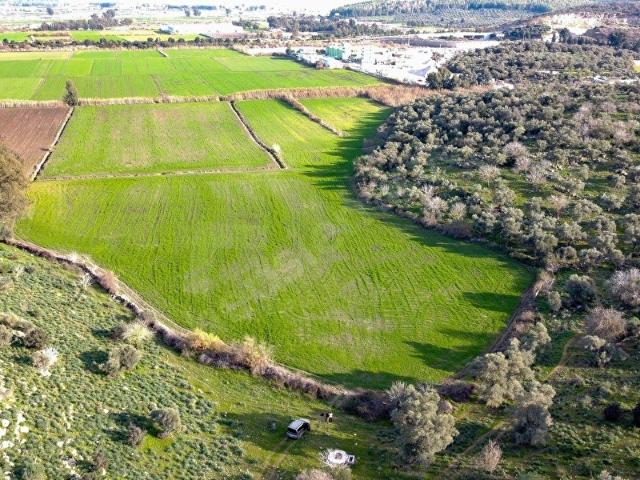Milas Havalimanı çevrsinde satılık yatırımlık tarla