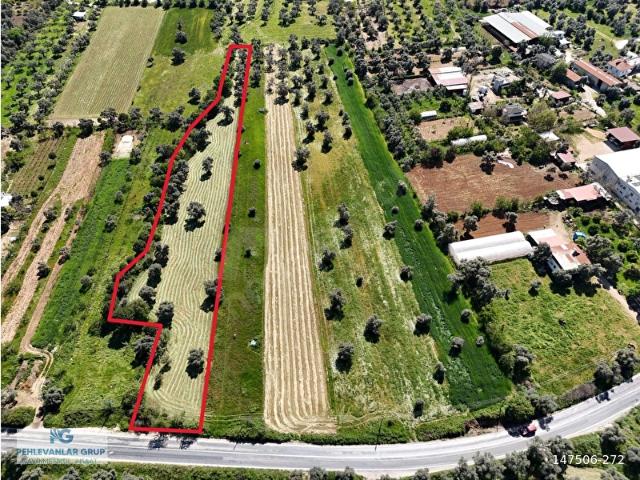 Milas Kırcağızda Karpuzlu Yoluna Sıfır 3900 m Yatırımlık Arazi