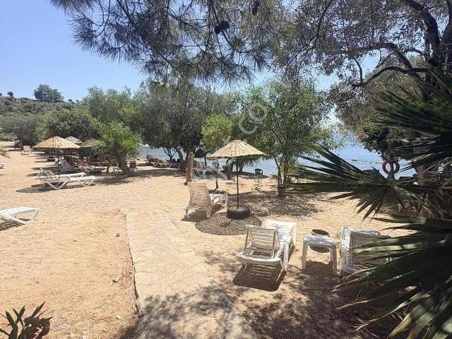 Milas Kıyıkışlacık İassos Beach Clubda Fırsat.