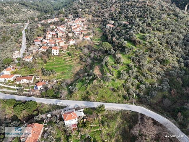 Milas Kayabaşı Mah Kaynak Suyu Olan Bungalov & Tinyhouse Arazisi