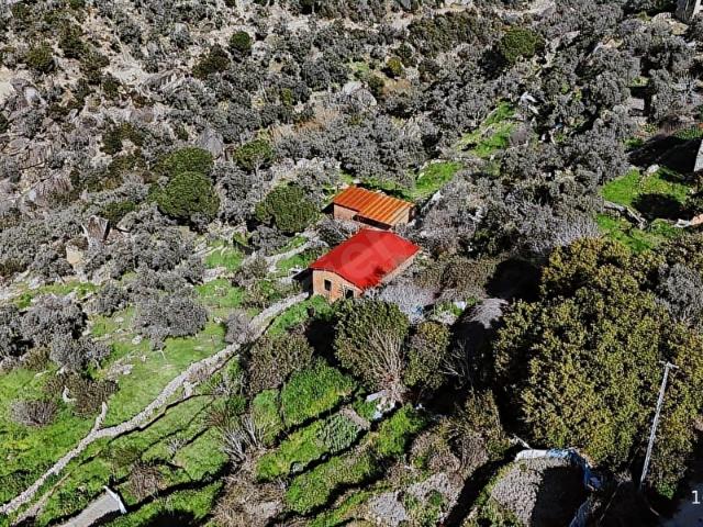 Milas Ketenderede Mah.Satılık Arsa Harmaya Real Estate