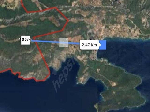 Milas Kultak Satılık zeytinlik
