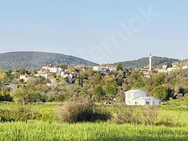 Milas Kuzyakada Satılık Tarla