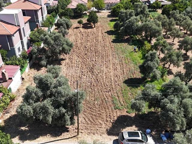 Milas Menteşte 903 m 250 m İmarlı Satılık Villa Arsası