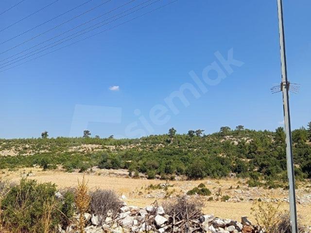 milas pinarda 24500m2 yol cephe acil satılık tarla