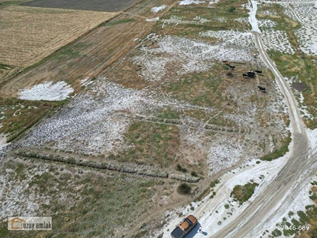 Milas Savran Mahallesi'nde Satılık 15.000 m Tarla