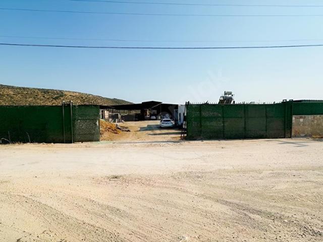 Milas Savran'da Satılık 6350 m Geniş Arazi Müstakil Çiftlik