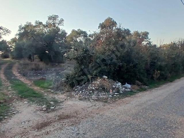 Milas Söğütcük de 1122 m2 Yola Cepheli,Yatırım Yaşam Fırsatı!