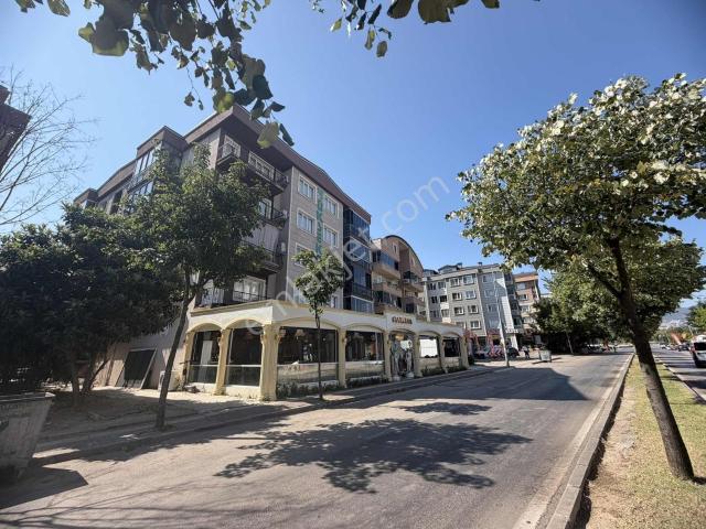 Millet Mahallesi Derya Caddesi Yüksek 1.kat Satılık Geniş 2+1