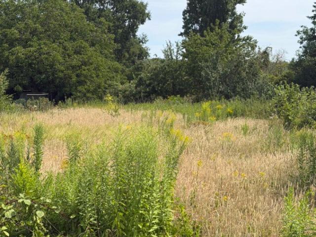 Milly la Forêt Vente Terrain 91