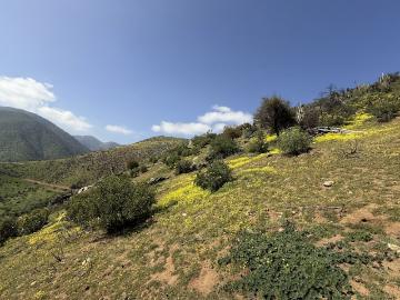 Mirador de Curacaví