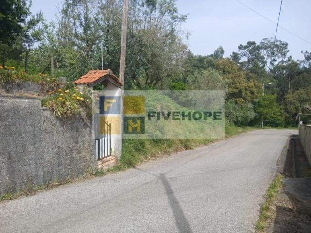 Miranda do Corvo Miranda do Corvo 101411371