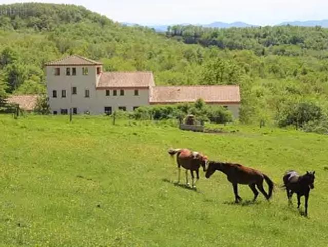 Mirepoix 09500 Achat / Vente maison 20 pièces t20