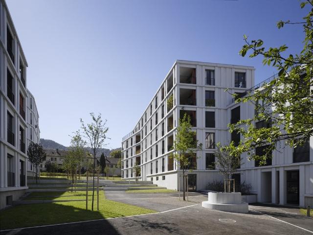 Mitten im Grünen mitten in Zürich