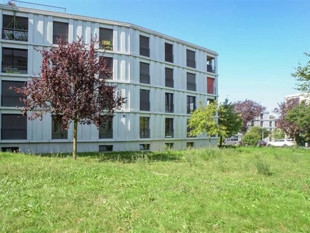 Mitten im Grünen mitten in Zürich