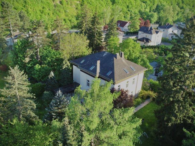 Mitten im Grünen & im Villenviertel: exklusive Gartenwohnung mit ca. 930 m² Außenfläche, beheiztem Wintergarten, Pool, Luftwärmepumpe u.v.m.!