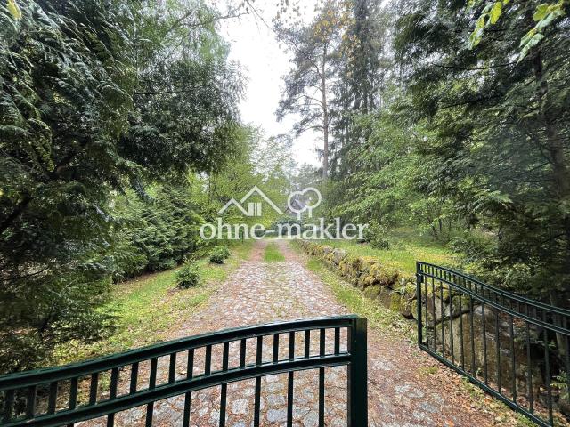 Mitten im Wald: Großzügiges Einfamilienhaus für Jung und Alt mit viel Privatsphäre