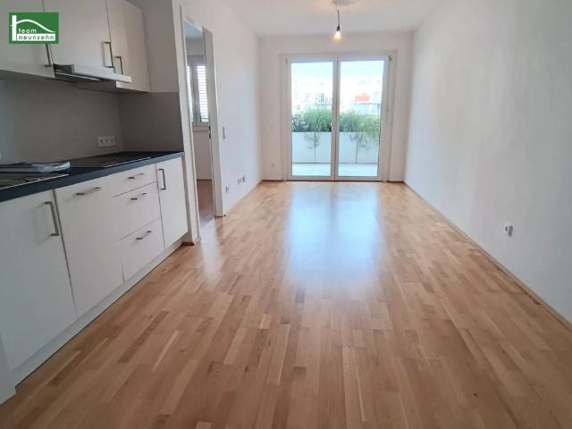 MITTEN IN DER STADT Ruhe auf der begrünten Terrasse genießen 2 Zimmer Neubauwohnung