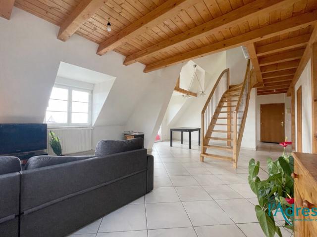 Mittelwihr Vente Appartement 68