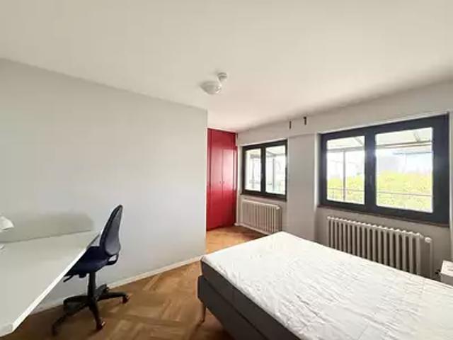 Mittelhausbergen 67206 Location appartement 1 pièce t1
