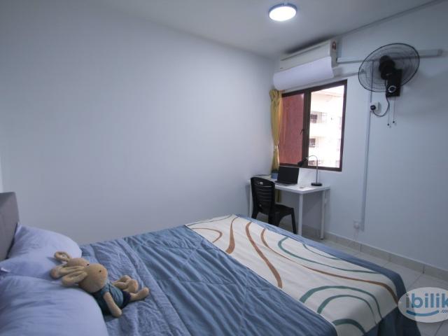 【 ✨ 】