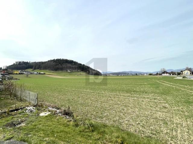 MIT AUSBAUPOTENZIAL UND WEITSICHT