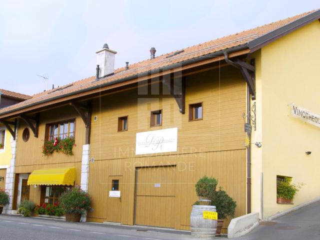 Mixed use building with 8 rooms on sale in Satigny 869 m² | dreamo. Ch