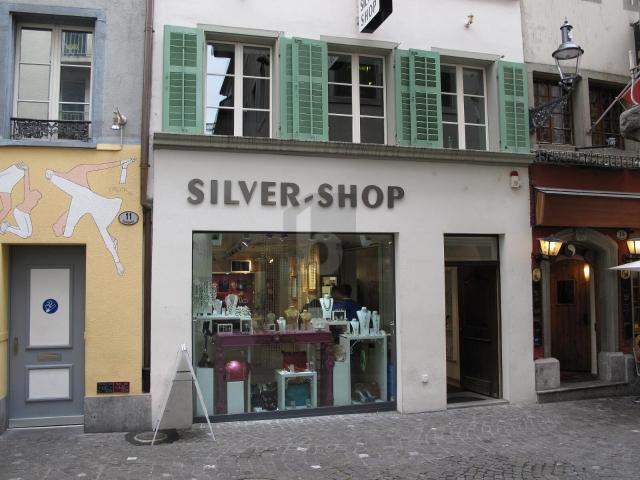 Mixed use building with 9 rooms for rent in Luzern 315 m² | dreamo. Ch