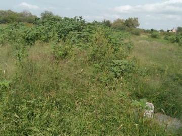 MIY BUEN TERRENO EN VENTA ZONA SUR