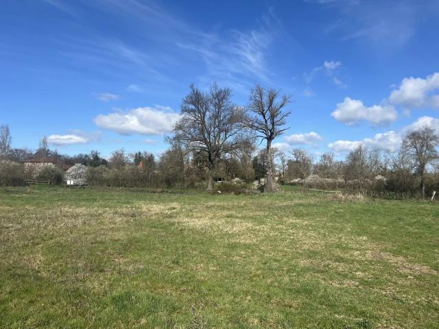 Mizérieux Vente Terrain 42