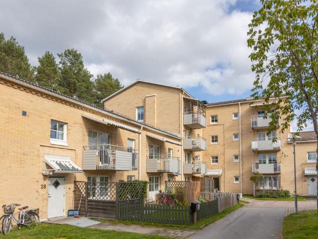 Mjölkvägen, Umeå