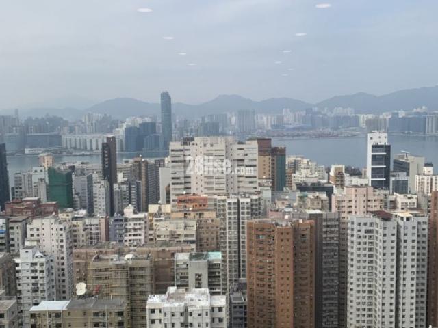 摩天大廈 #3810 租盤樓盤詳細資料