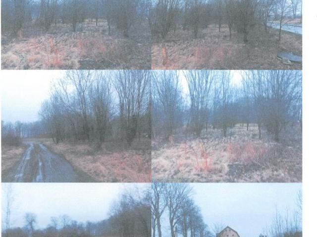 Mołstowo, 15 979 m2