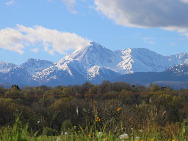 Momères Vente Propriété/château 65
