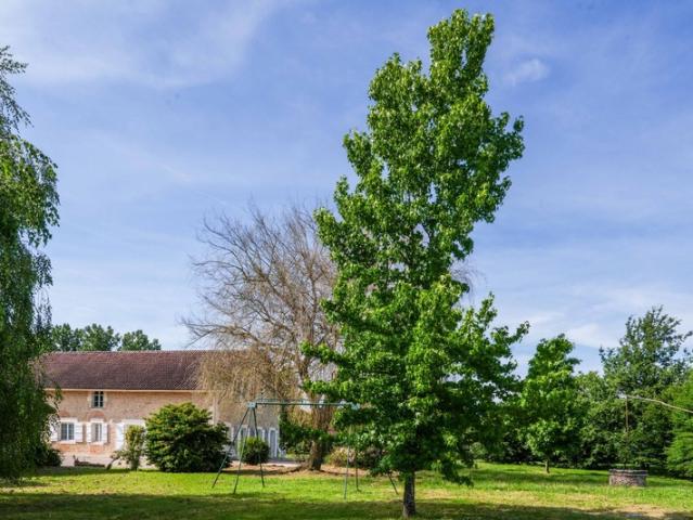 Mont de Marsan Vente Propriété/château 40